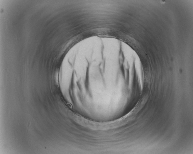 X0000073930047200609082314