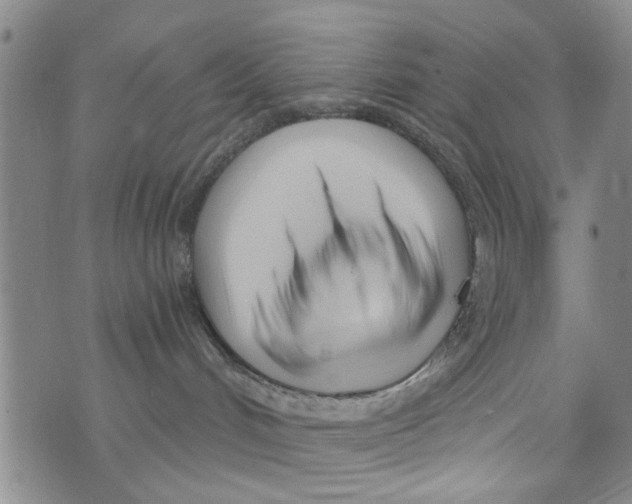 X0000073930048200609082314