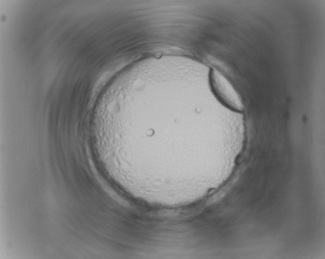 X0000073930049200609082313