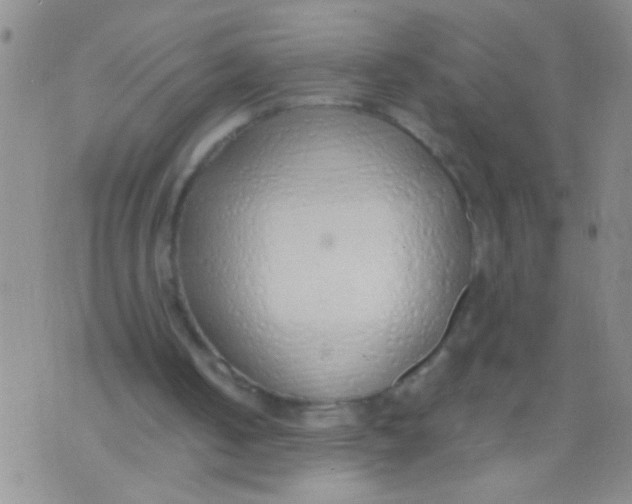 X0000073930050200609082313