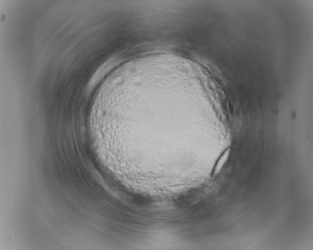 X0000073930053200609082313