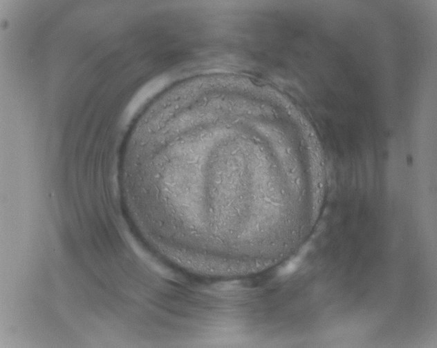 X0000073930054200609082313