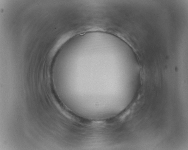 X0000073930055200609082313