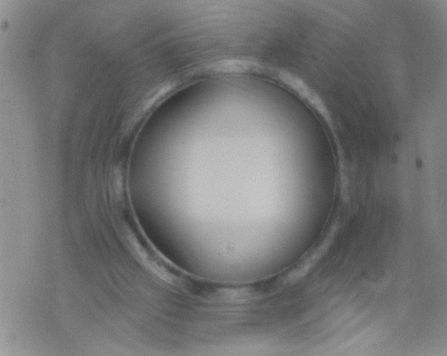 X0000073930057200609082313