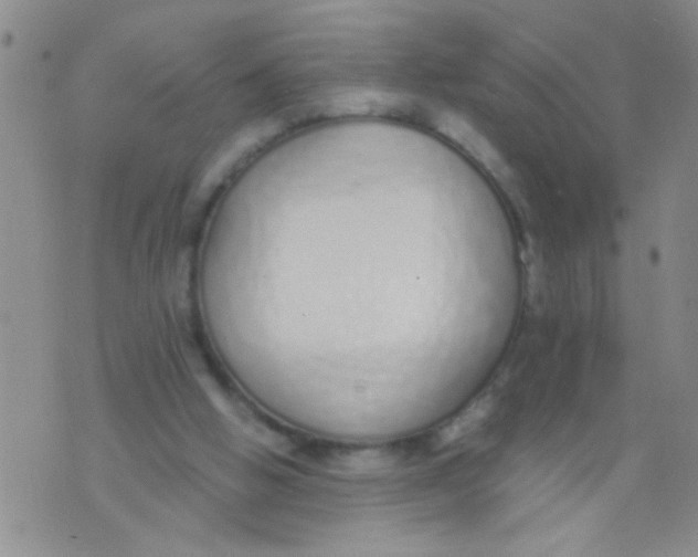 X0000073930058200609082313