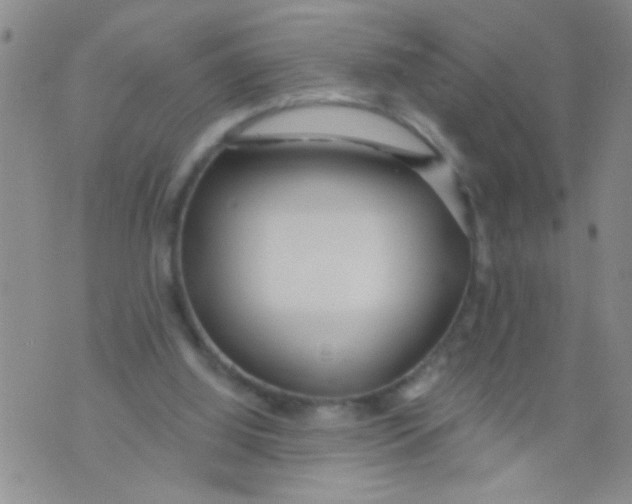 X0000073930060200609082313