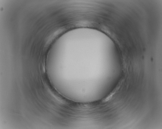 X0000073930062200609082313