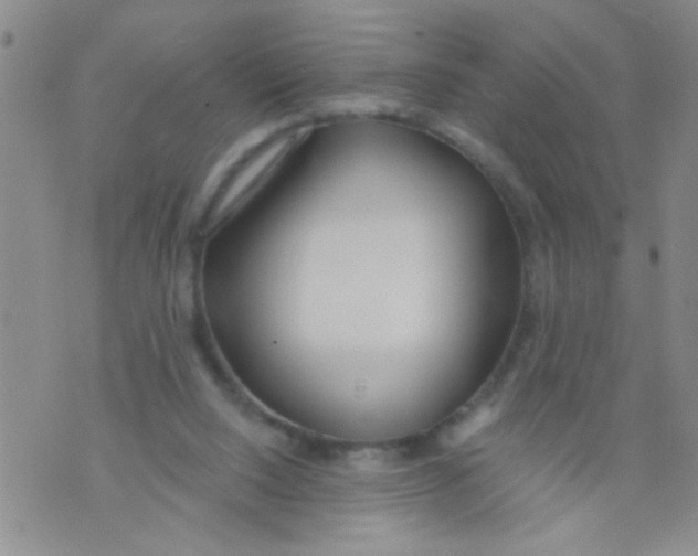 X0000073930064200609082313