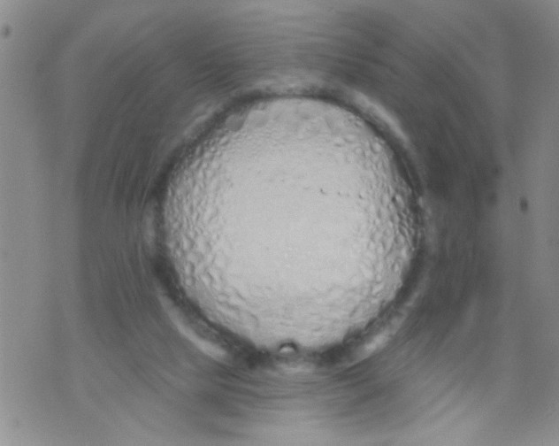 X0000073930065200609082313