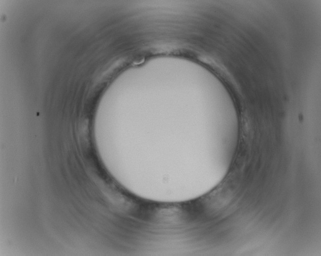 X0000073930066200609082313