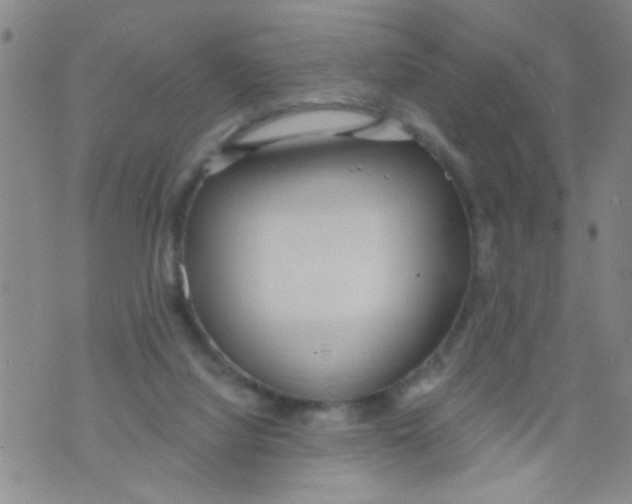 X0000073930068200609082313