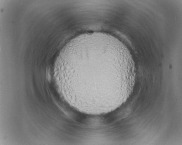 X0000073930069200609082313