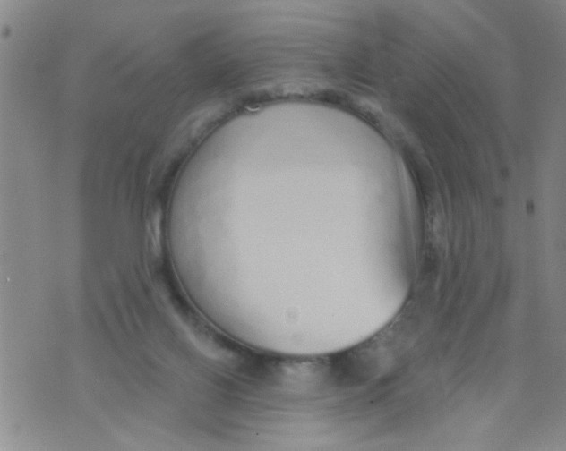 X0000073930070200609082313