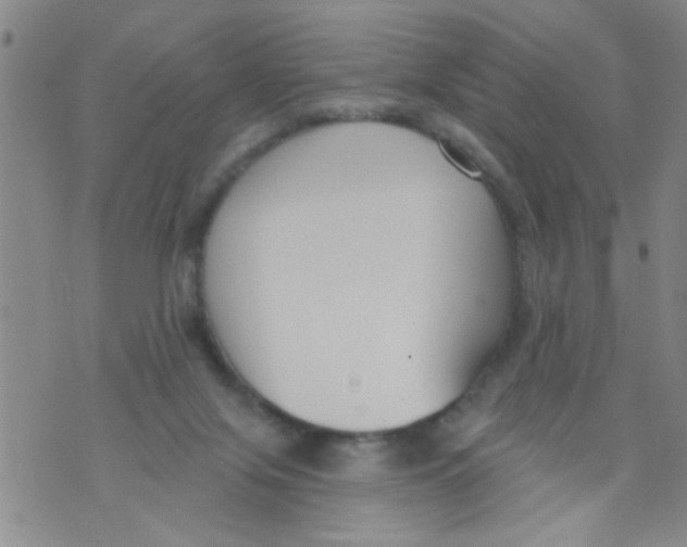 X0000073930071200609082313