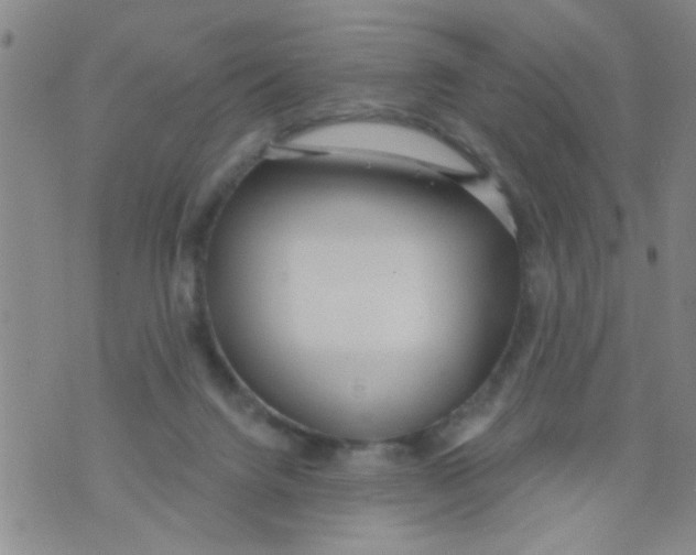 X0000073930072200609082313