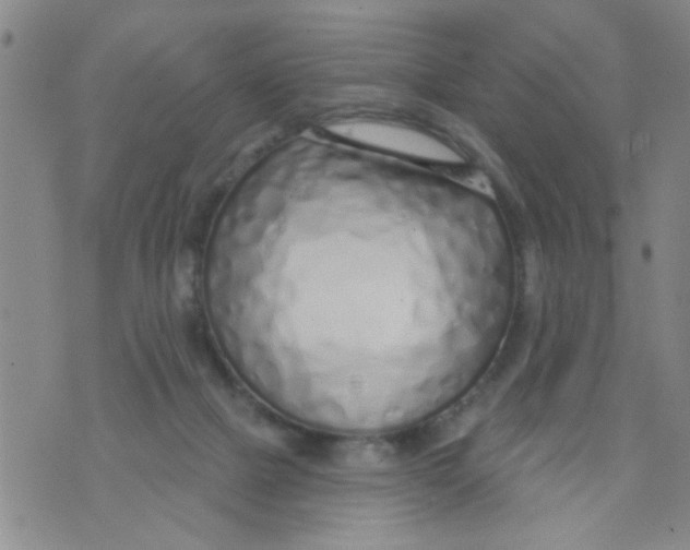 X0000073930073200609082313