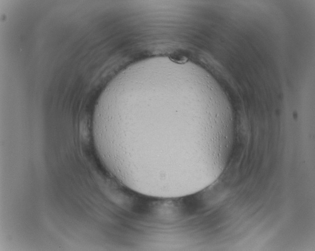 X0000073930074200609082313