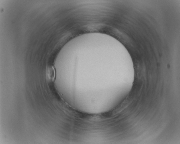 X0000073930075200609082313