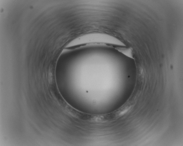 X0000073930080200609082313