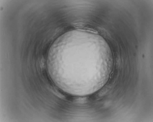 X0000073930081200609082313