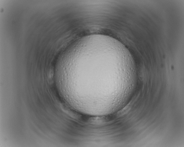 X0000073930082200609082313