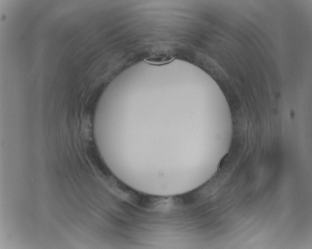 X0000073930083200609082313