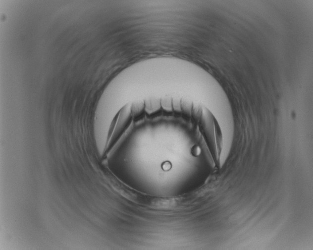 X0000073930084200609082313