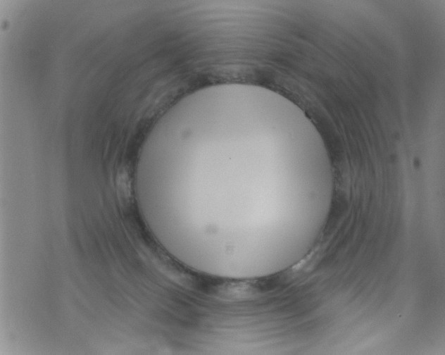 X0000073930086200609082313