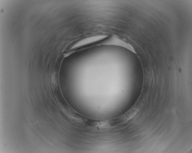 X0000073930088200609082313