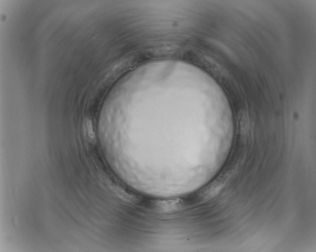 X0000073930089200609082314