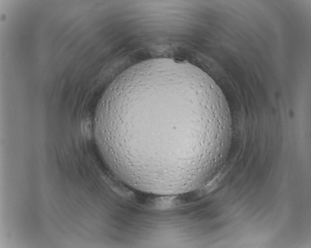 X0000073930090200609082314