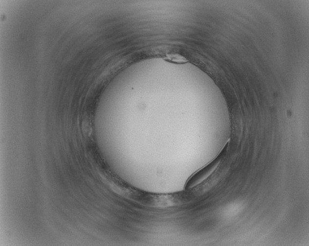 X0000073930091200609082314