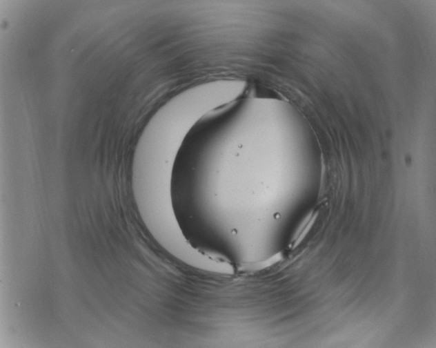 X0000073930092200609082314