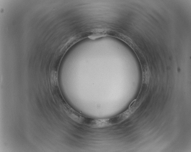 X0000073930093200609082314