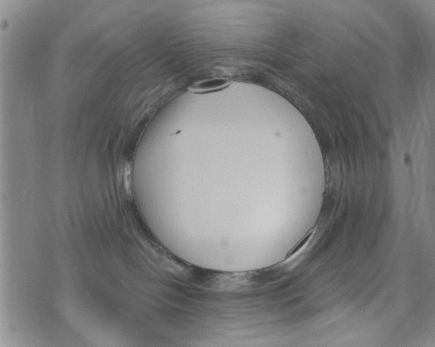 X0000073930094200609082314