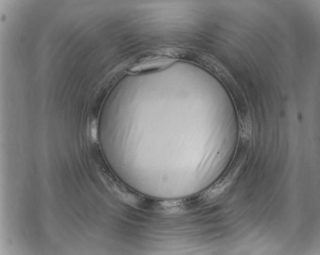 X0000073930095200609082314