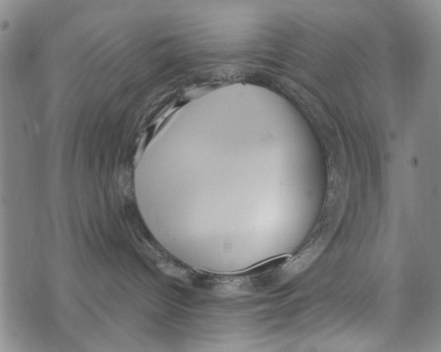 X0000073930096200609082314