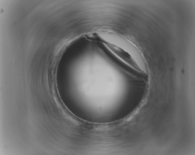 X0000073930097200609082313