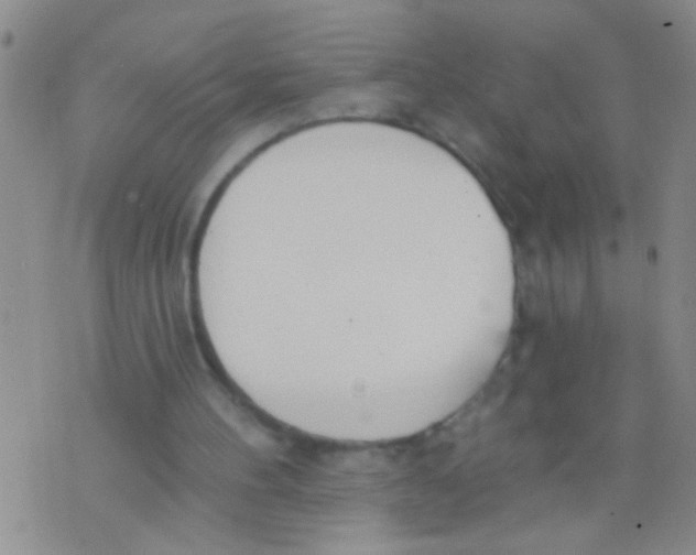 X0000073930100200609082313