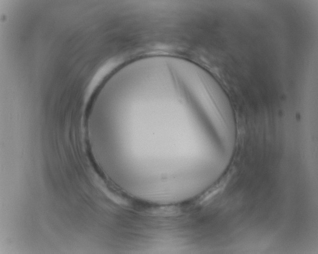 X0000073930102200609082313