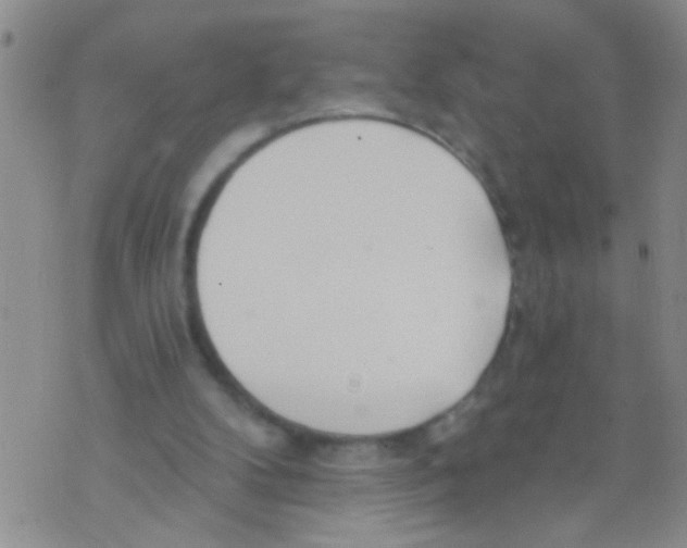 X0000073930104200609082313