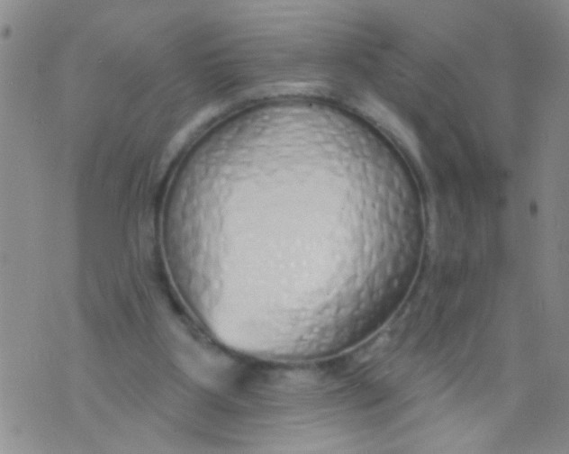 X0000073930107200609082313