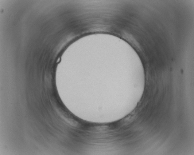 X0000073930108200609082313