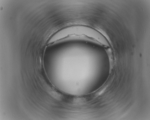 X0000073930109200609082313