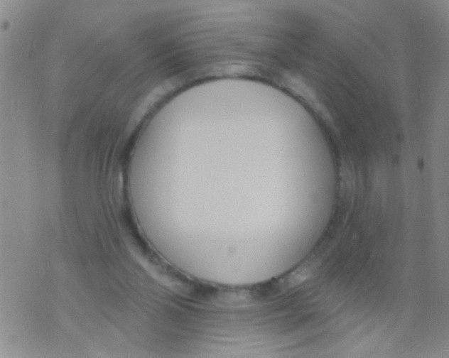 X0000073930110200609082313