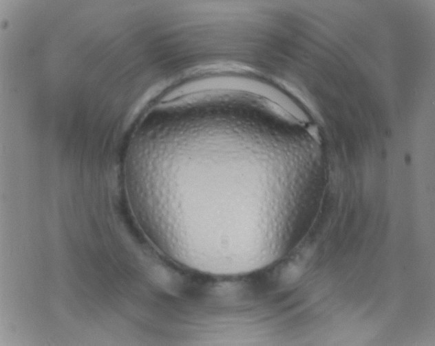 X0000073930111200609082313