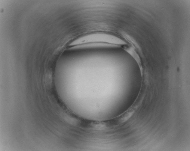 X0000073930113200609082313