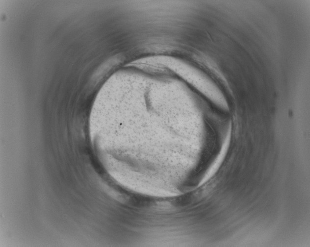 X0000073930114200609082313