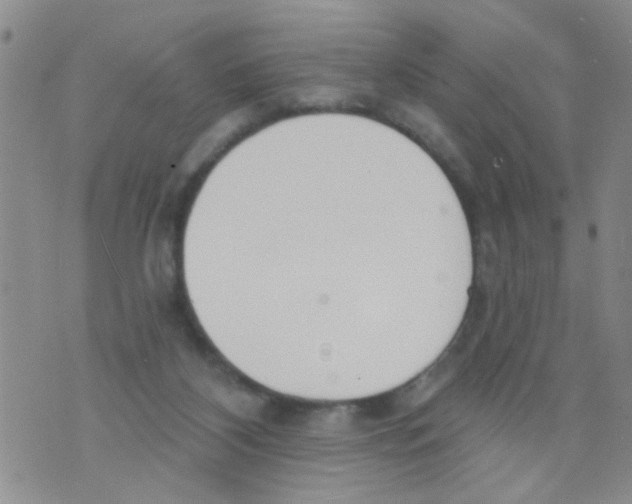 X0000073930116200609082313