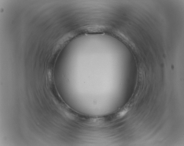 X0000073930117200609082313